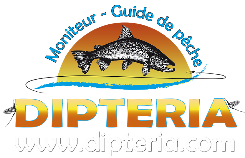 Logo Dipteria guide peche mouche