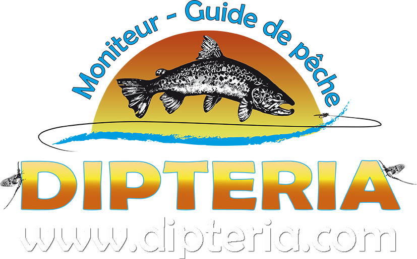 Logo Dipteria Guide peche mouche