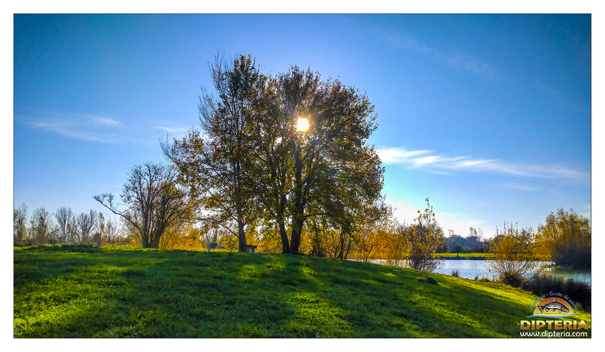 Paysage réservoir - Dipteria guide de pêche