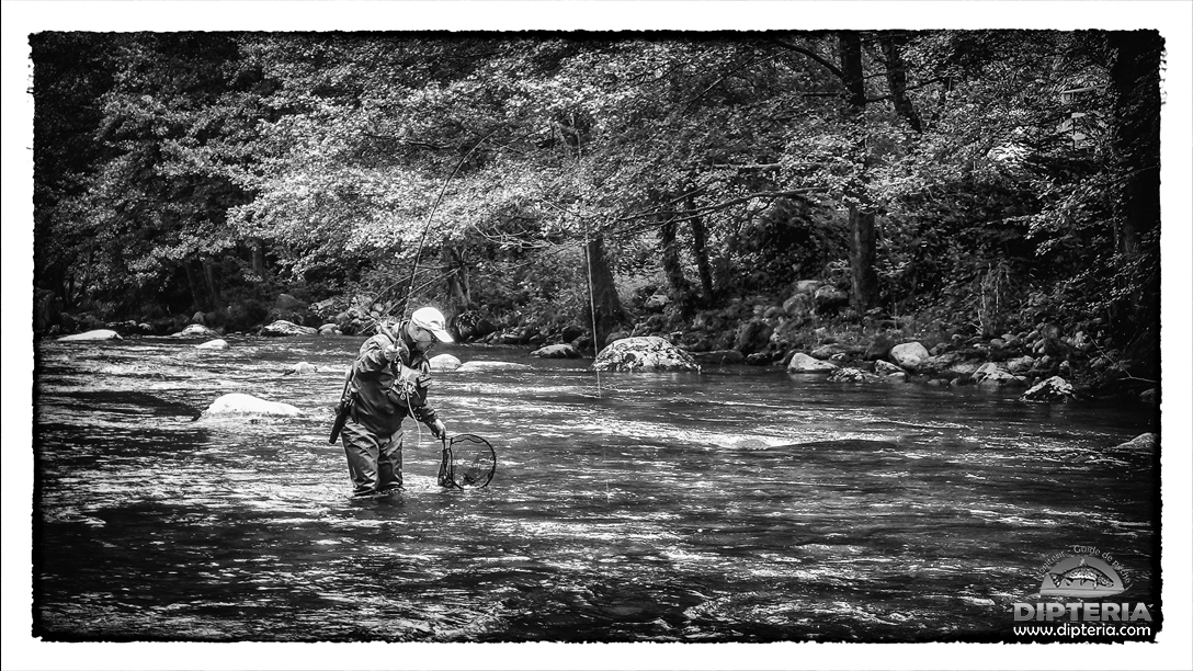 Stage Découverte Pêche à la Mouche – 1 Journée - Guide Expert – Image 5