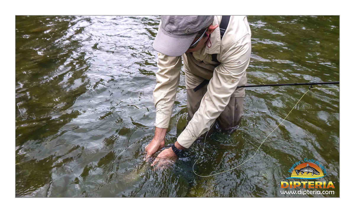 Stage Découverte Pêche à la Mouche – 1 Journée - Guide Expert – Image 4