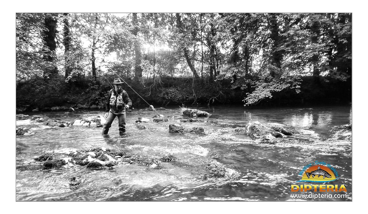 Guidage pêche mouche avec Dipteria