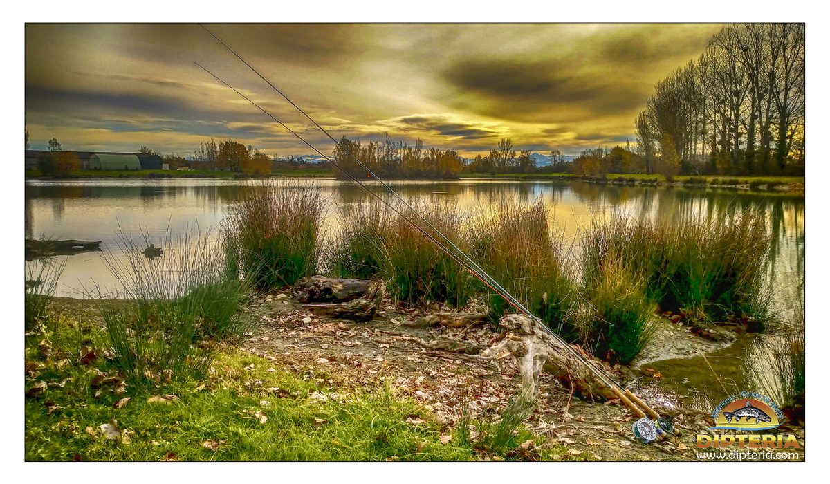 Réservoir haute garonne Dipteria guide de pêche