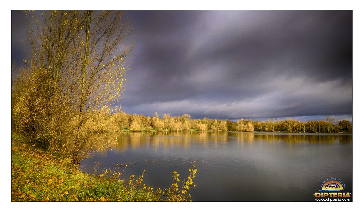 Réservoir haute garonne Dipteria guide de pêche