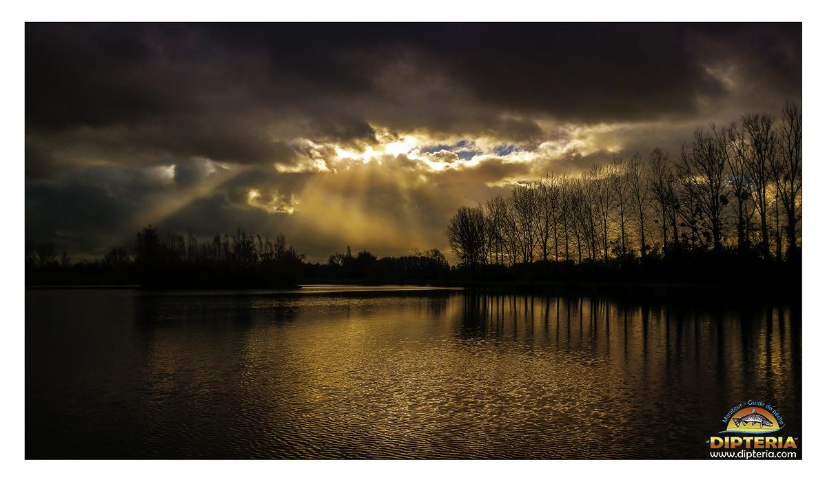Réservoir haute garonne Dipteria guide de pêche