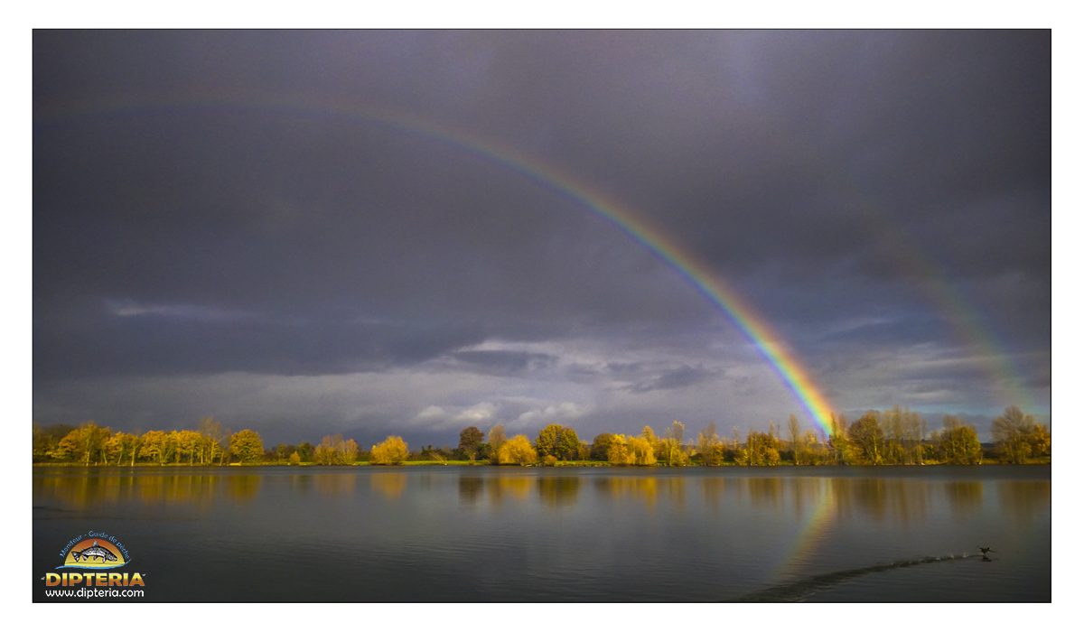 Réservoir haute garonne Dipteria guide de pêche