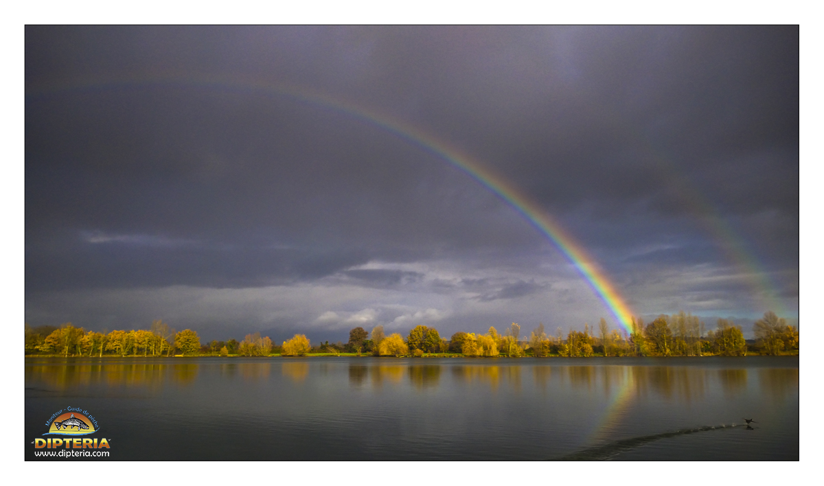 Stage Pêche à la Mouche en Réservoir – 1 Journée - Guide Expert – Image 9