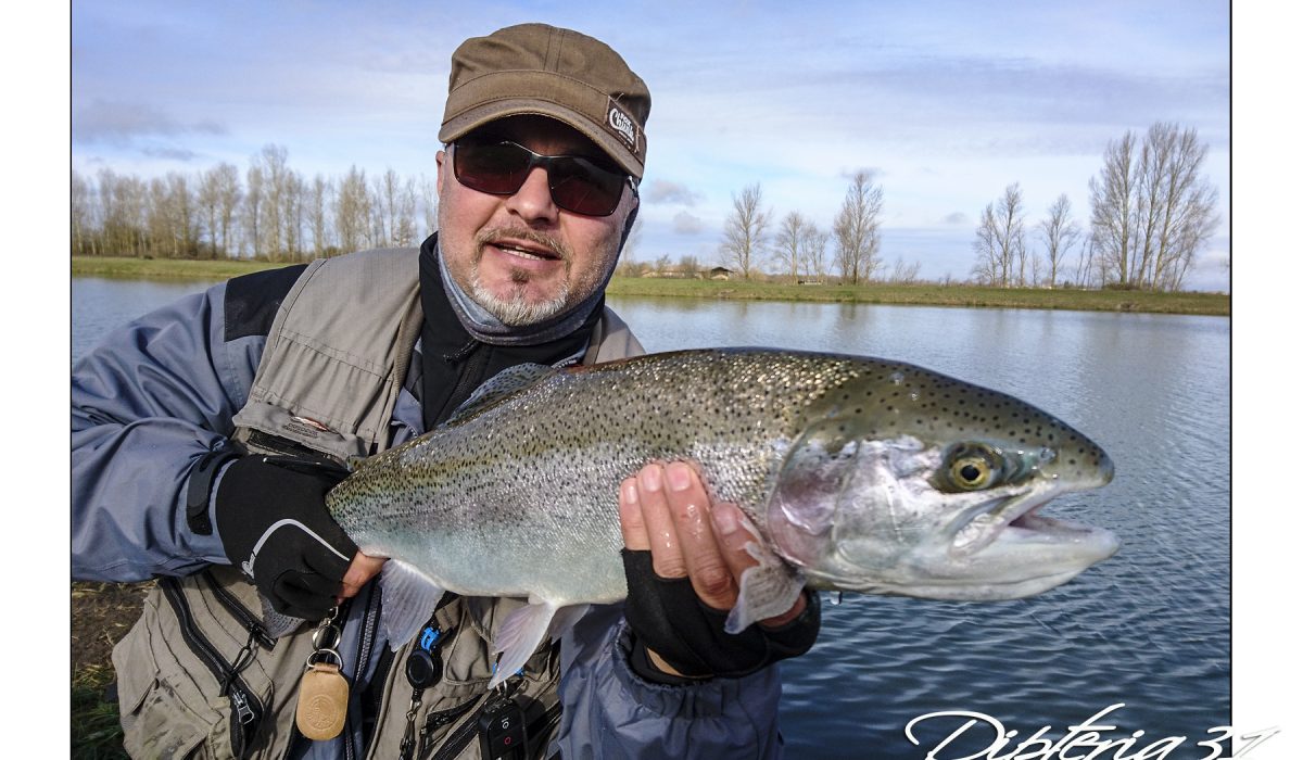Truite arc en ciel - réservoir - Dipteria guide de pêche