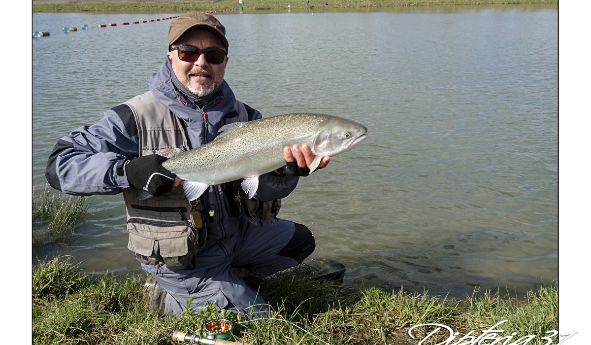 Truite arc en ciel - réservoir -  -  Dipteria guide de pêche