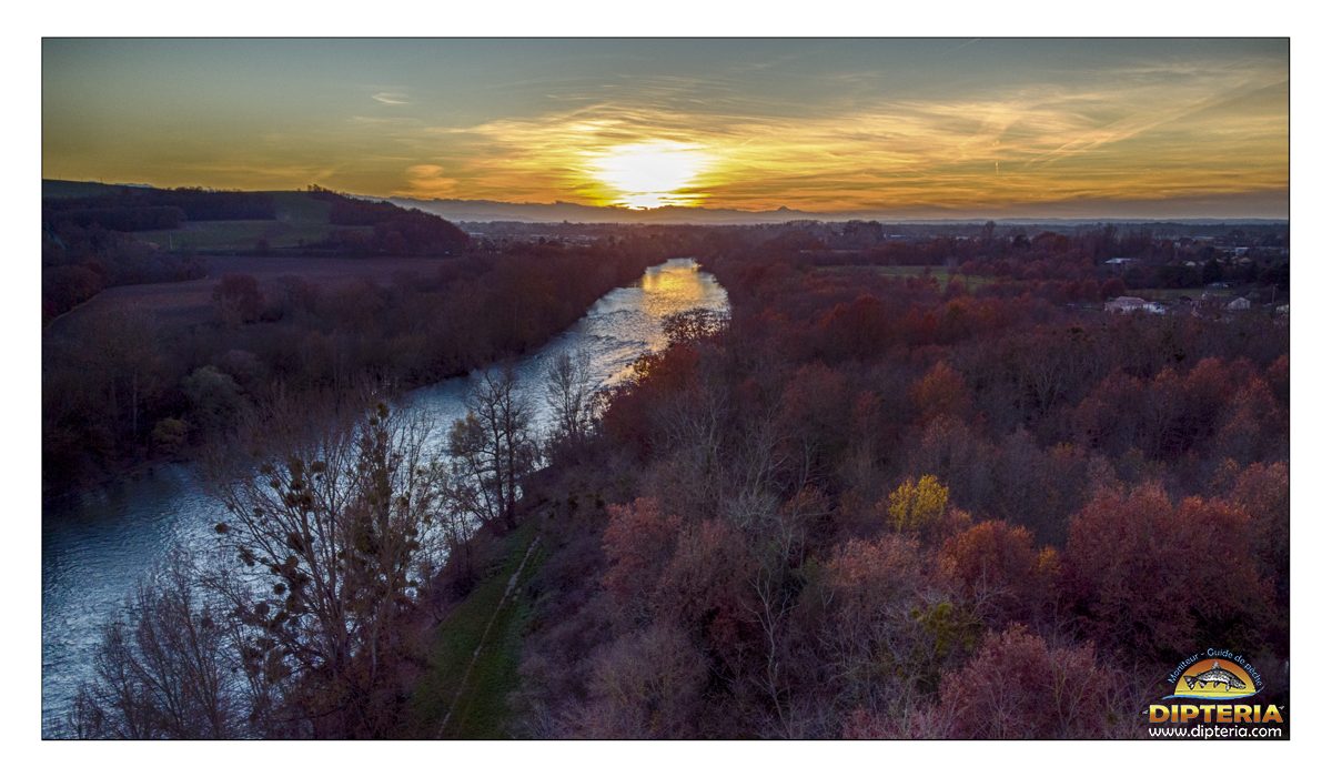 La garonne en seconde catégorie -- Dipteria guide de pêche