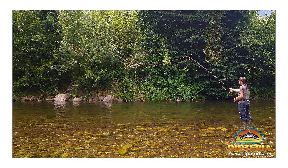 Lancer linéaire - apprentissage client - Dipteria guide de pêche