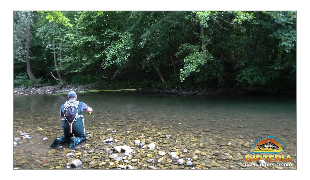 stage consolidation pêche à la mouche | Guide Expert |Lancer linéaire latéral