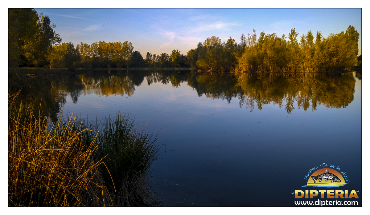 Réservoir haute garonne Dipteria guide de pêche