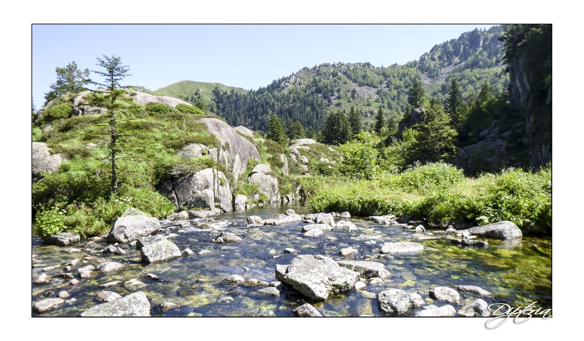 Rivière pyrénéenne -  Dipteria guide de pêche