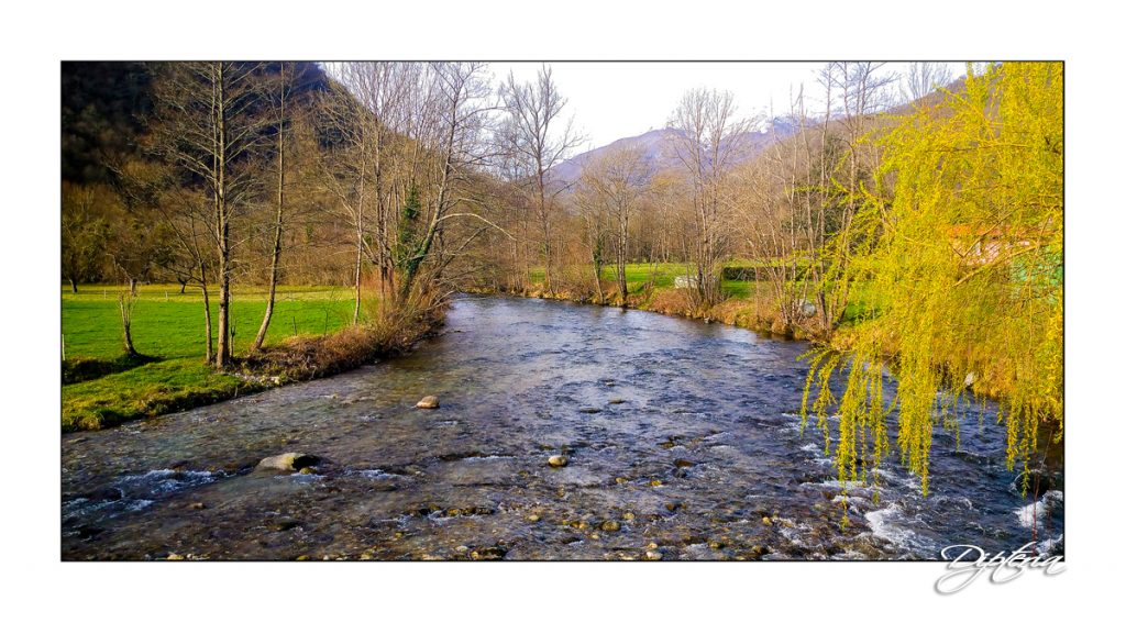 Rivière pyrénéenne - stage de pêche mouche | Dipteria guide de pêche