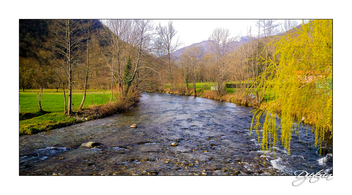 Rivière pyrénéenne - stage de pêche mouche | Dipteria guide de pêche