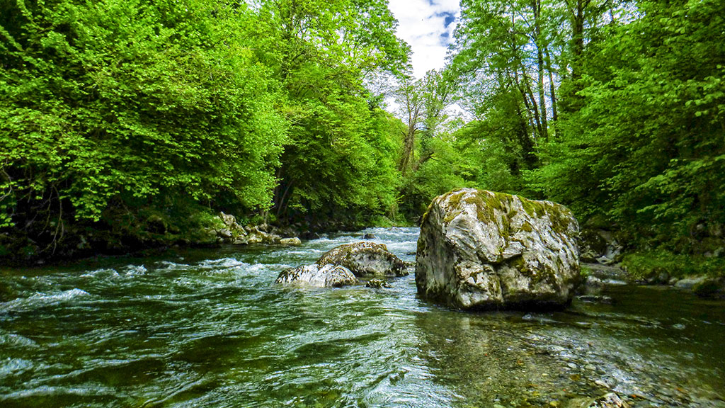 stage de pêche rivière- Rivière d'Ariège et haute garonne - Dipteria Guide Pêche Mouche