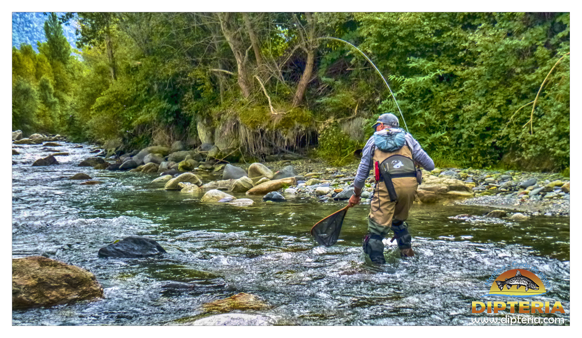 1 journée de cours individuel de lancer à la pêche à la mouche – Avec un guide expert – Image 4