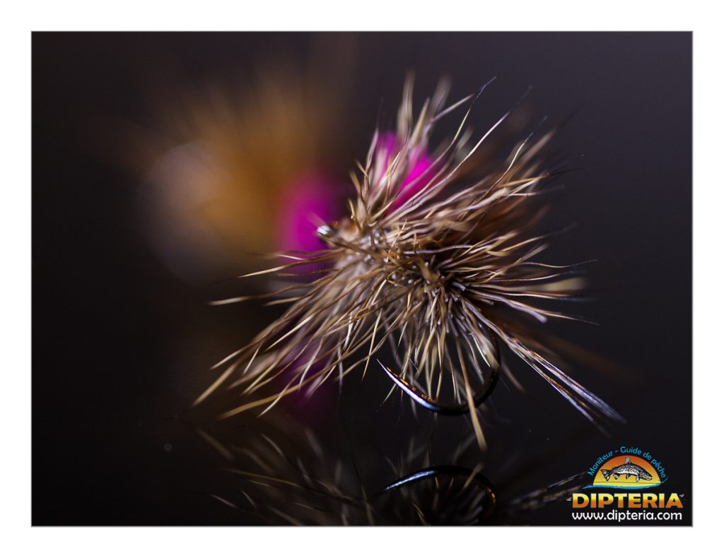 Mouches de pêche par Dipteria - Guide pêche mouche et Tenkara
