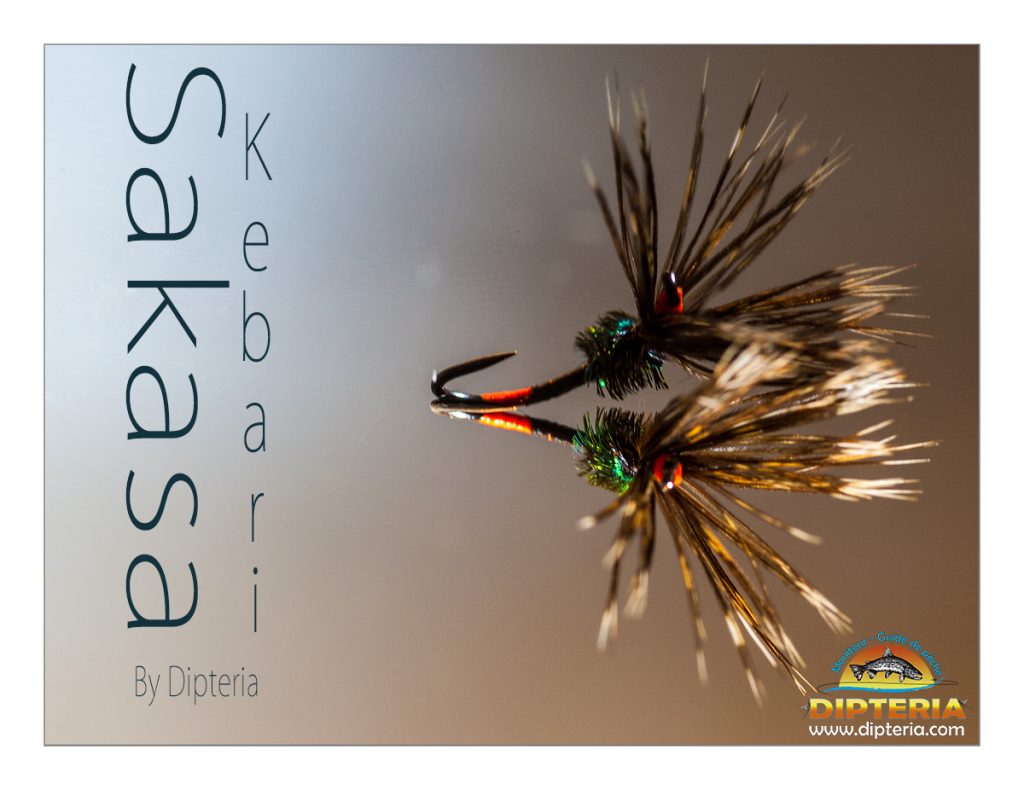Sakasa Kebari par Dipteria Guide de pêche