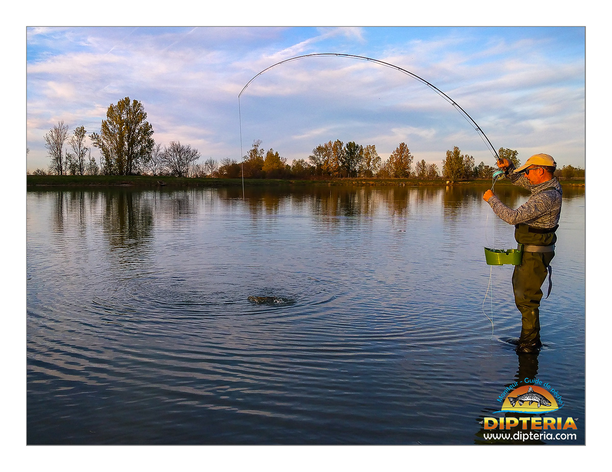 Pêche en réservoir - Dipteria guide pêche mouche et réservoir