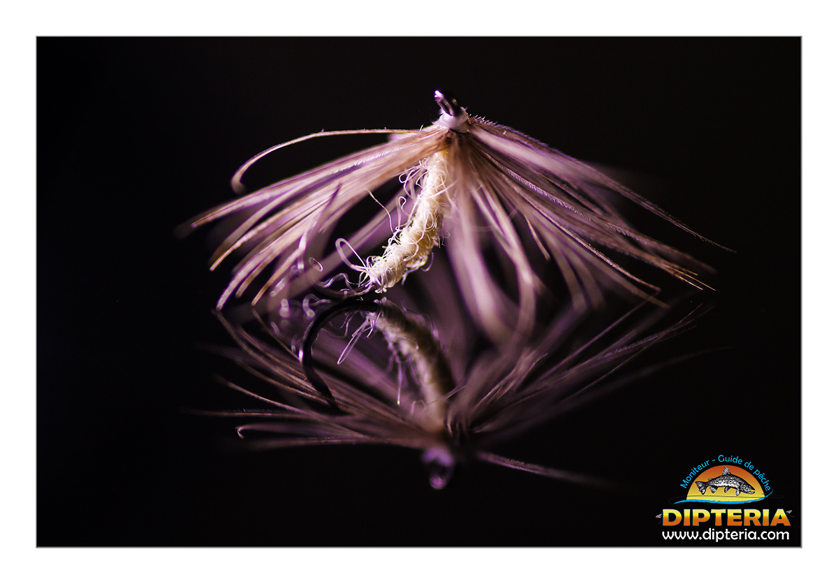 Jun Kebari by Dipteria MGP