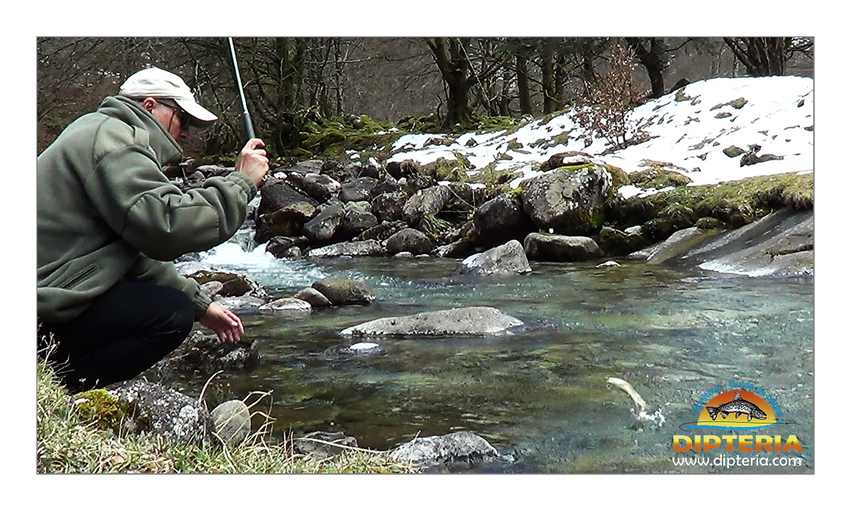Pêche au Tenkara en montagne - Dipteria Guide de pêche dans les Pyrénées.