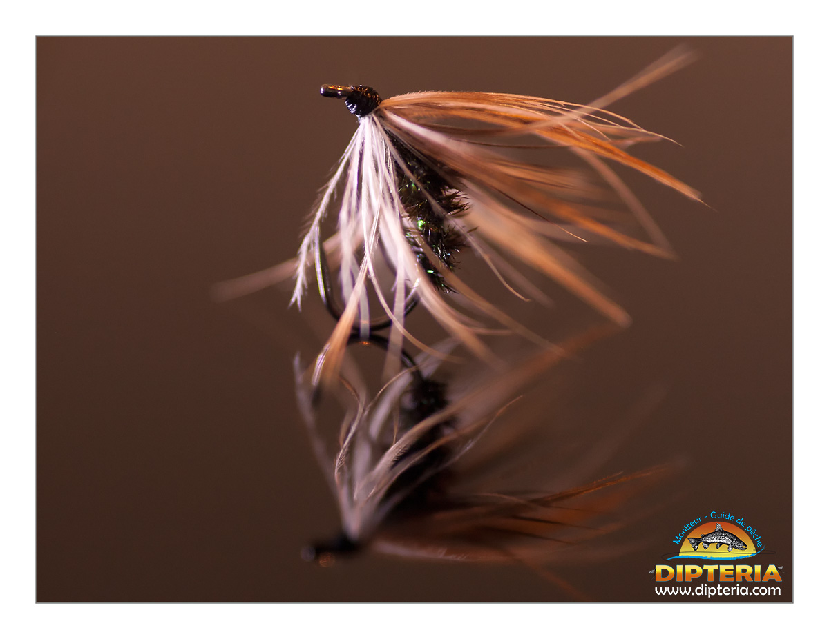 Stage Tenkara Débutant – Initiation à la Pêche Japonaise Traditionnelle – Image 5