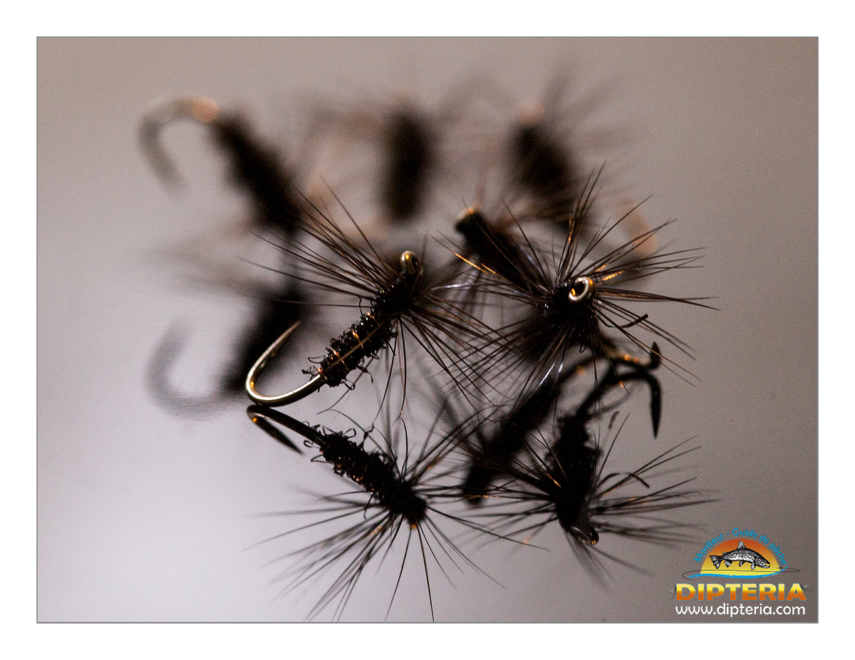 Stage Tenkara Débutant – Initiation à la Pêche Japonaise Traditionnelle – Image 4