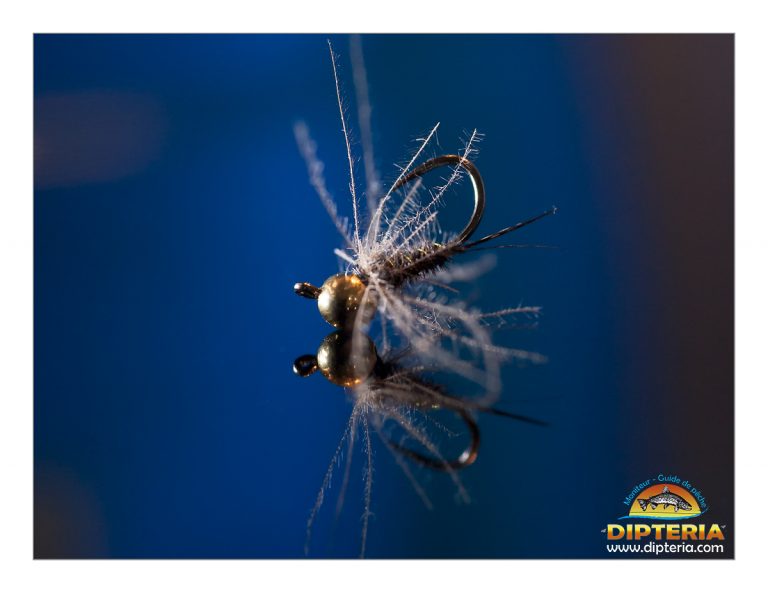 Lire la suite à propos de l’article nymphes « poubelle »