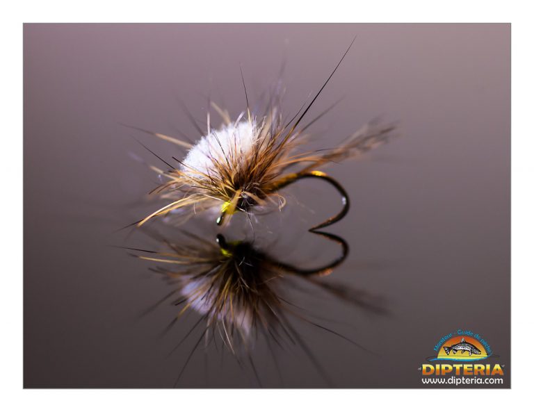 Lire la suite à propos de l’article Montage mouche parachute collerette en lièvre – Tutoriel vidéo par Dipteria, guide de pêche en Pyrénées