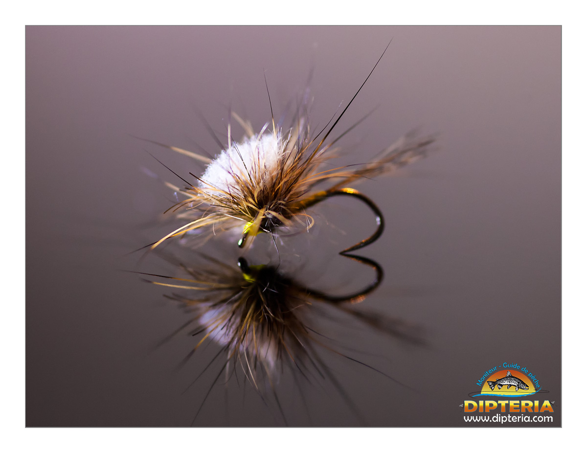 Lire la suite à propos de l’article Montage mouche parachute collerette en lièvre – Tutoriel vidéo par Dipteria, guide de pêche en Pyrénées