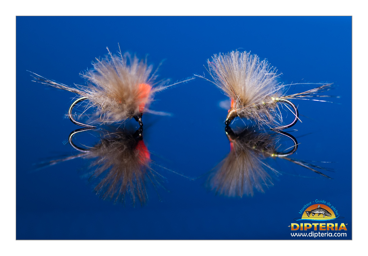 Lire la suite à propos de l’article L’oreille de lièvre ailes CDC – Tutoriel vidéo