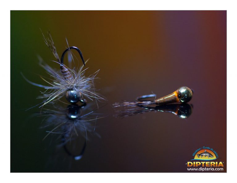 Lire la suite à propos de l’article Nymphe « poubelle » N°2