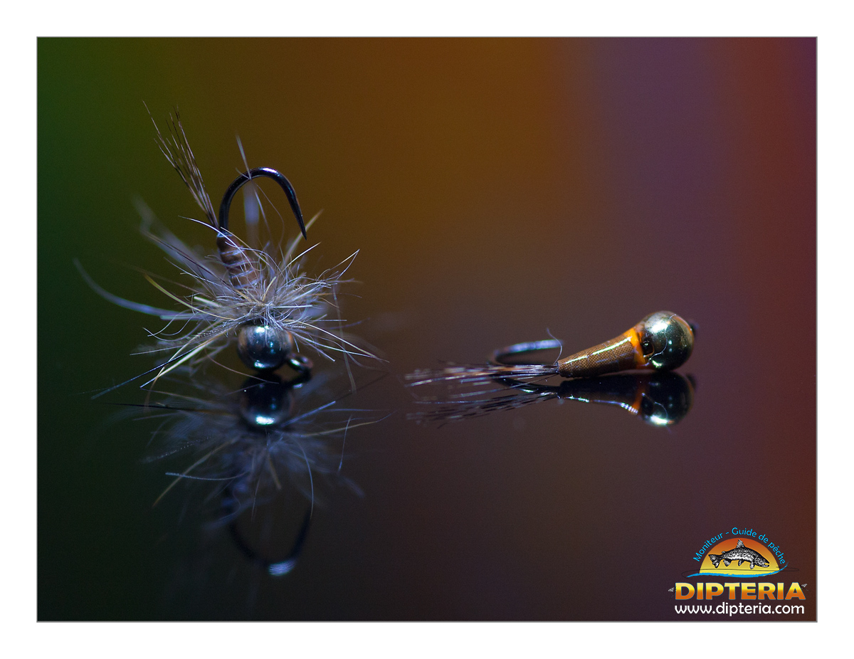 Lire la suite à propos de l’article Nymphe « poubelle » N°2