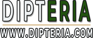 logo haut site Dipteria