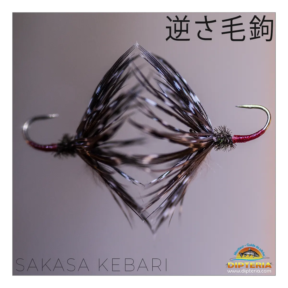 Lire la suite à propos de l’article Sakasa Kebari : Entre Ombre et Lumière | Dipteria